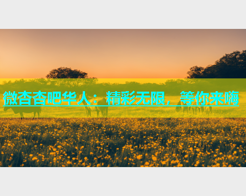 微杏杏吧华人：精彩无限，等你来嗨  第2张